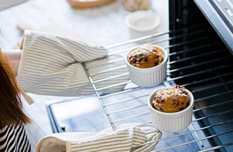 How to Choose the Best Sous Vide Cooker for Your Kitchen Needs?